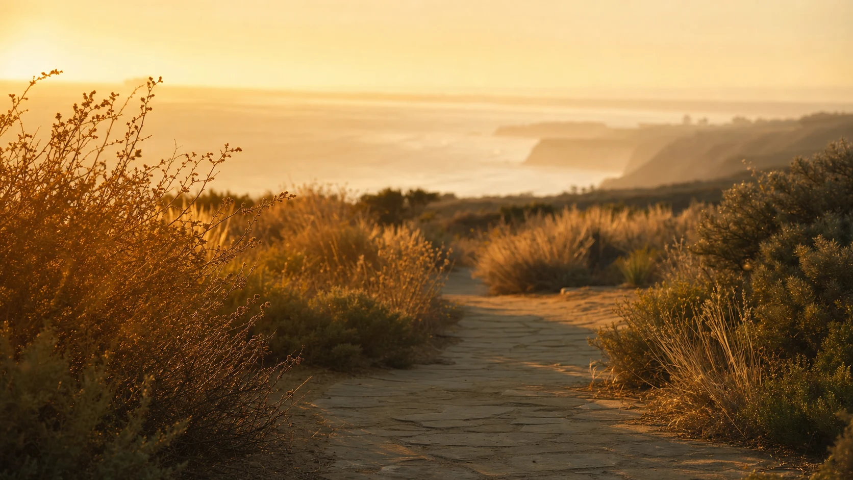 A sunlit coastal path lined with native grasses, overlooking the California coastline at golden hour
